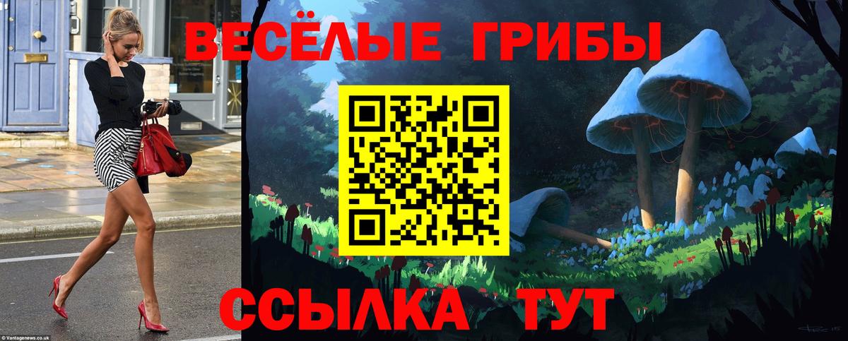 Псилоцибиновые грибы мицелий Волжский